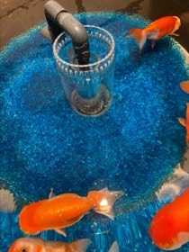 青い砂利の円形水槽を、赤い金魚たちが泳ぐ。