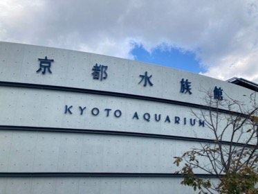 「京都水族館」と「KYOTO AQUARIUM」の文字がある外壁と、その上に広がる空。