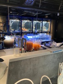 小型の水槽や管の付いた容器が、カウンターの奥に並ぶ。