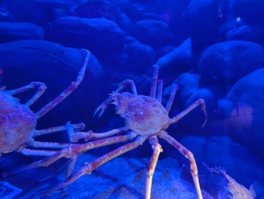 四国水族館の写真