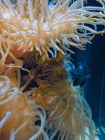 四国水族館の写真