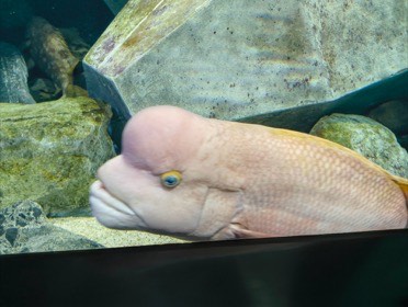 四国水族館の写真