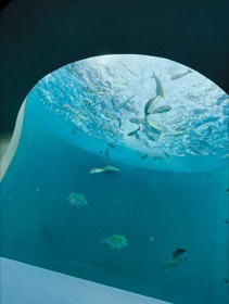 四国水族館の写真