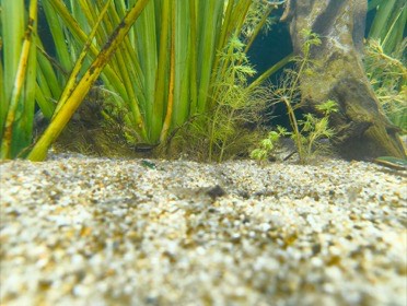 四国水族館の写真