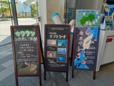 四国水族館の写真