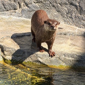 四国水族館の写真
