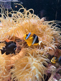 四国水族館の写真