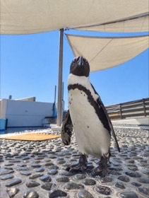 四国水族館の写真