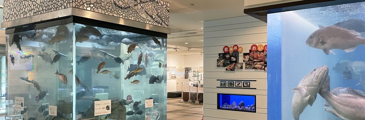 福井県海浜自然センター