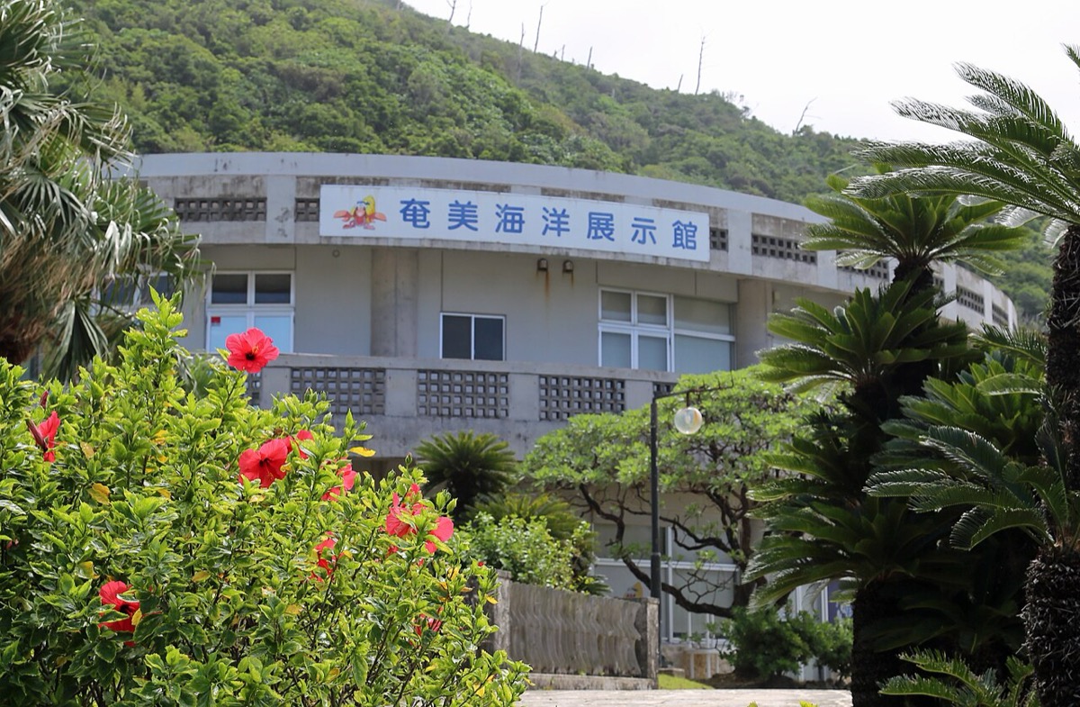 奄美海洋展示館