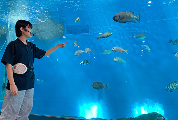 福山大学マリンバイオセンター 水族館