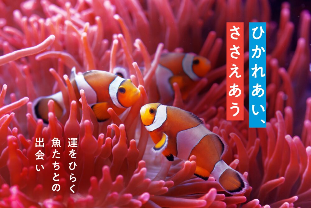 横浜開運水族館 フォーチュンアクアリウム