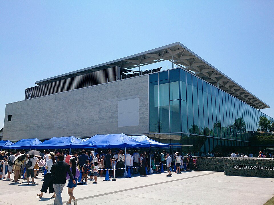 上越市立水族博物館 うみがたり