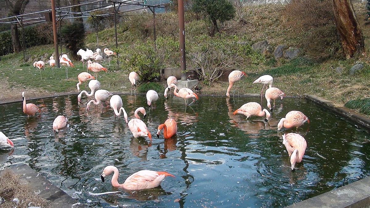 桐生が岡動物園