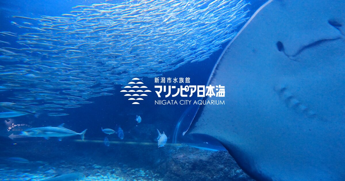 新潟市水族館マリンピア日本海