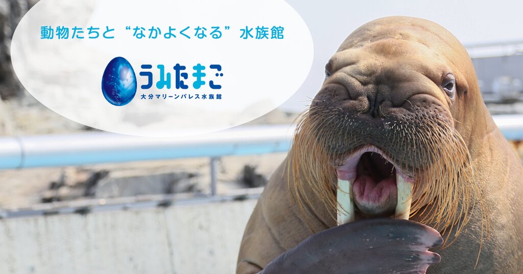 大分マリーンパレス水族館「うみたまご」