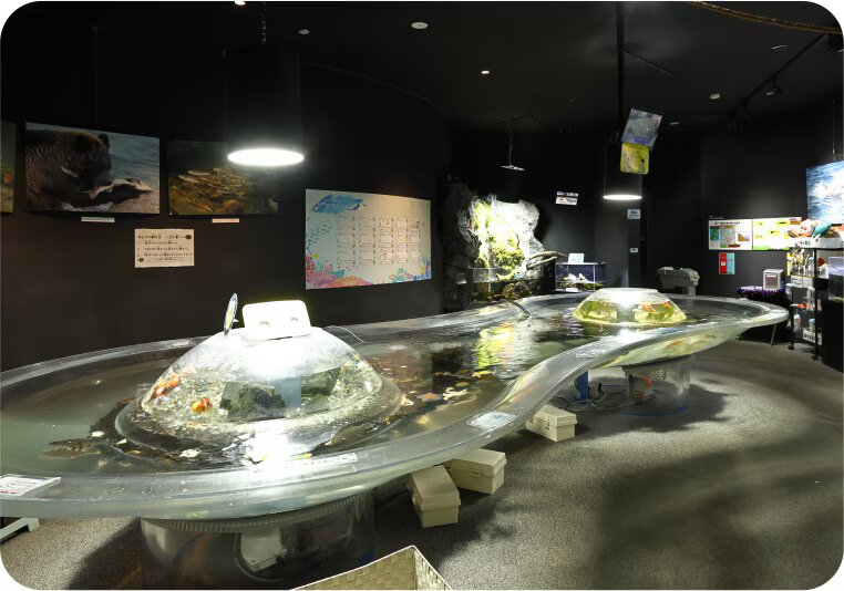 くしろ水族館ぷくぷく