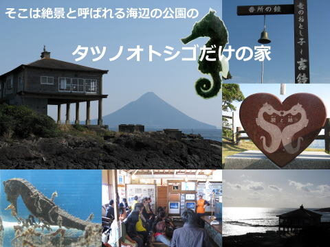 タツノオトシゴハウス