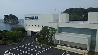 白浜水族館