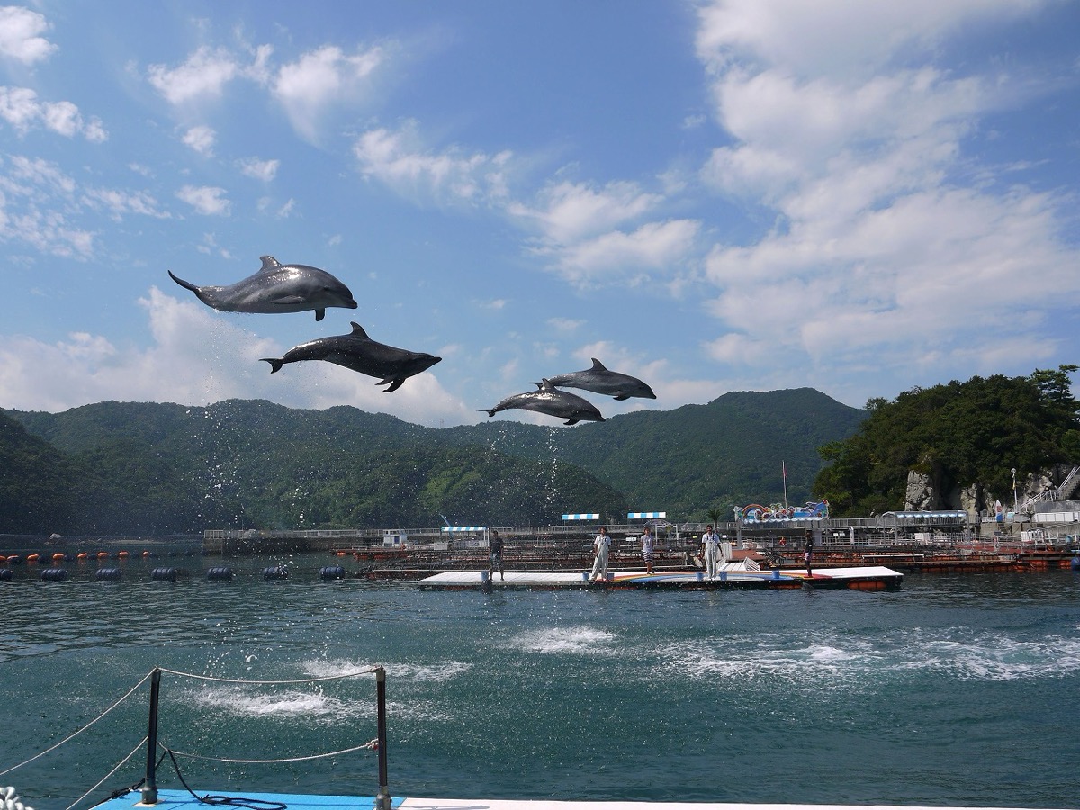 うみたま体験パーク「つくみイルカ島」